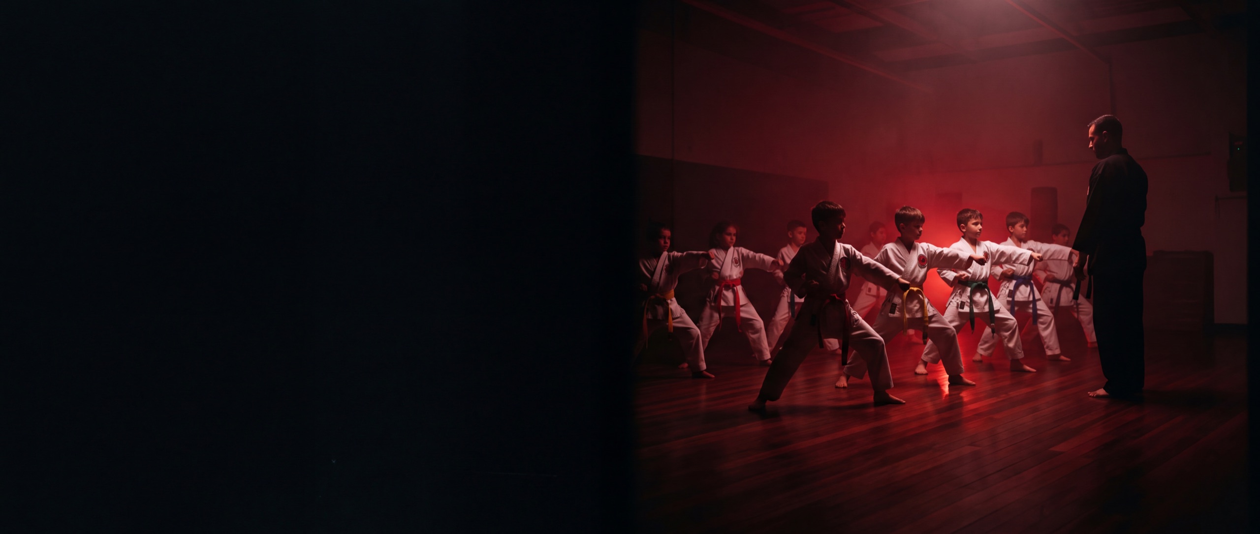 martial arts for adults white rock at Kingdom Athletics